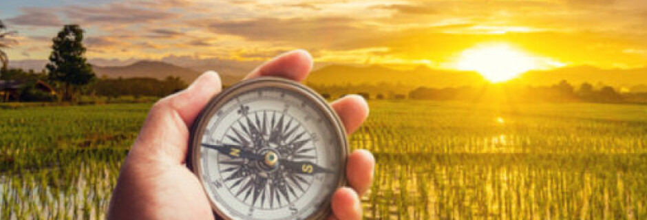 How to use Ruby on Rails: A Complete Guide