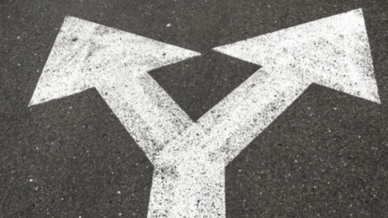 iOS vs Android: Which Platform to Choose for Development?