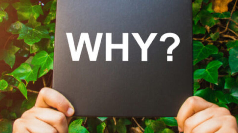 10 Reasons You Should Choose Outsourcing Companies in Ukraine