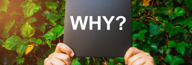 why choose ukrainian outsourcing companies