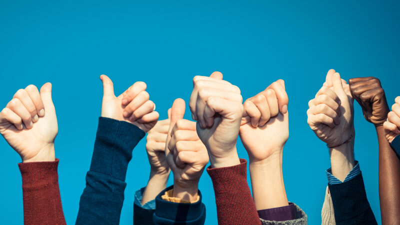 MWDN Is In The List Of Top Developers In Ukraine According To Clutch