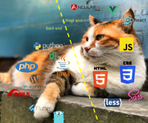 front-end and back-end web development technologies are numerous