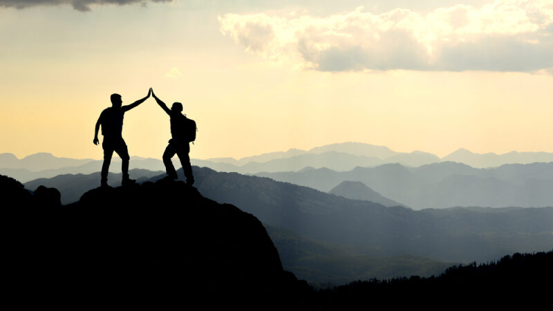 IT outsourcing for HRM and consulting: MWDN examples | MWDN OUTSTAFFING IT SERVICES