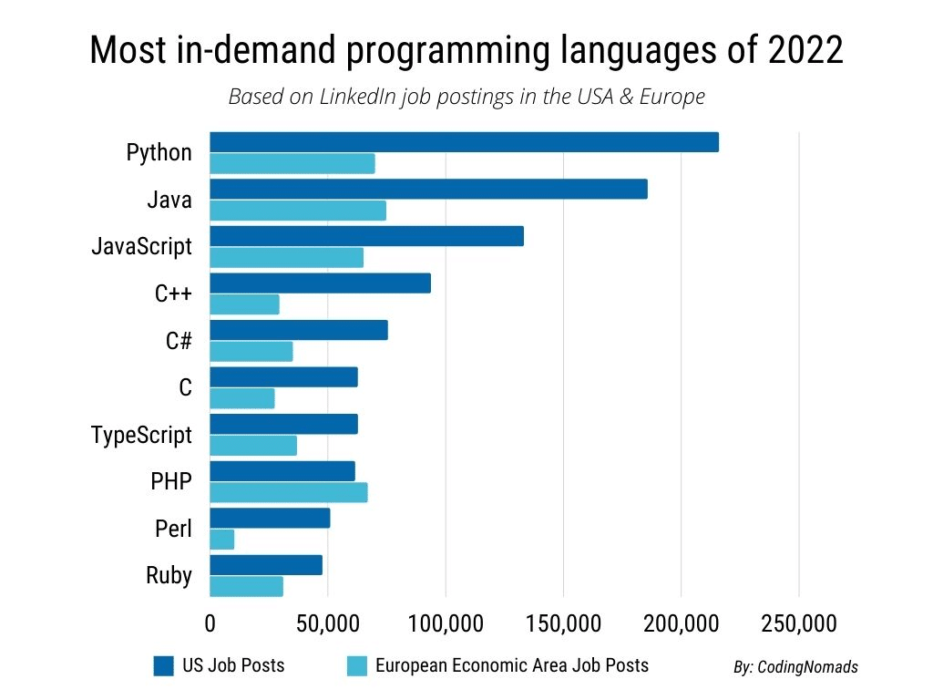 Top programming languages in 2022